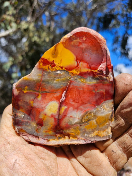 Sunset Jasper polished slab SU198