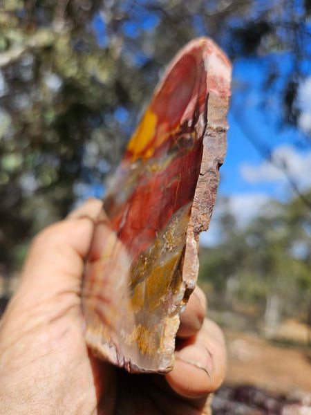 Sunset Jasper polished slab SU198