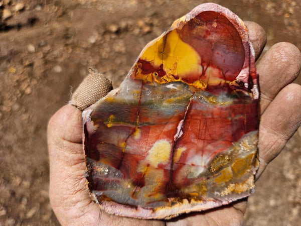 Sunset Jasper polished slab SU198