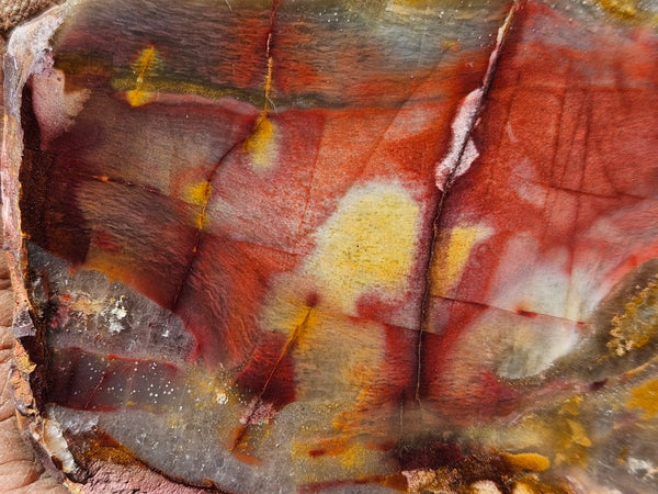 Sunset Jasper polished slab SU198