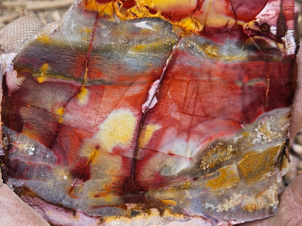 Sunset Jasper polished slab SU198