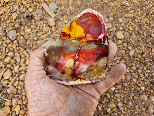 Sunset Jasper polished slab SU198