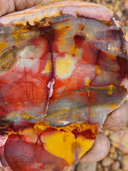 Sunset Jasper polished slab SU198