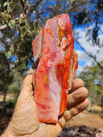 Sunset Jasper polished slab SU199