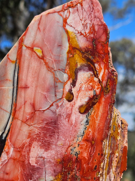 Sunset Jasper polished slab SU199