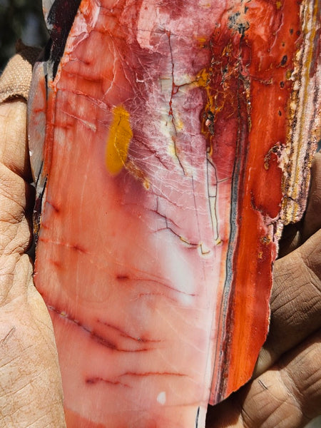 Sunset Jasper polished slab SU199