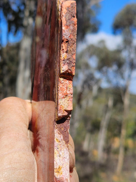 Sunset Jasper polished slab SU199