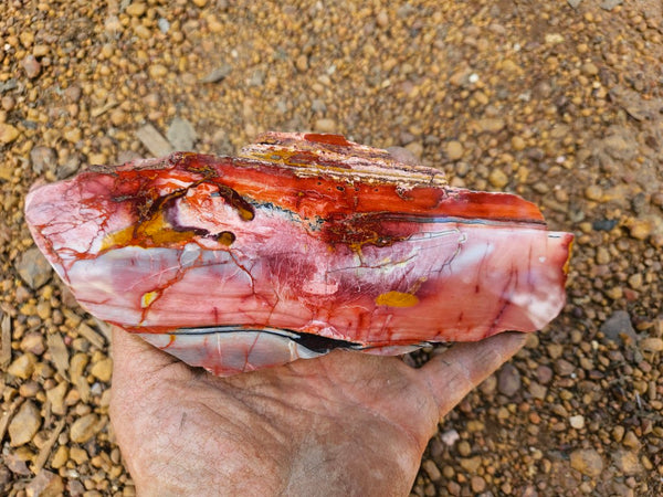Sunset Jasper polished slab SU199