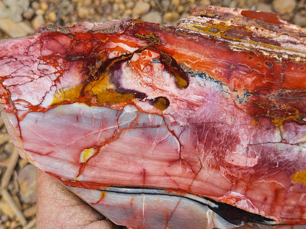 Sunset Jasper polished slab SU199