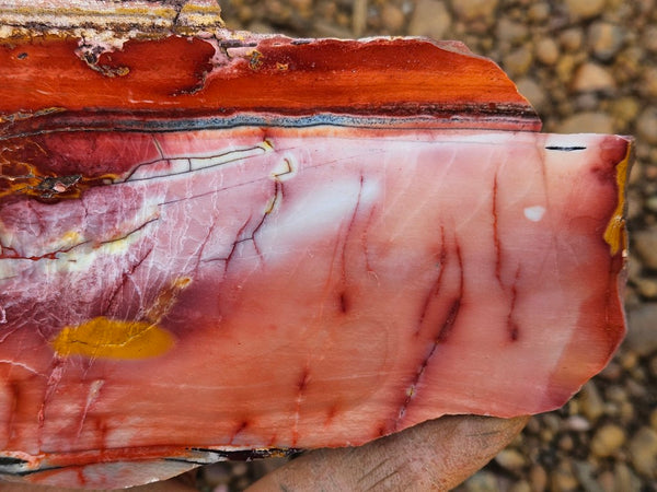 Sunset Jasper polished slab SU199
