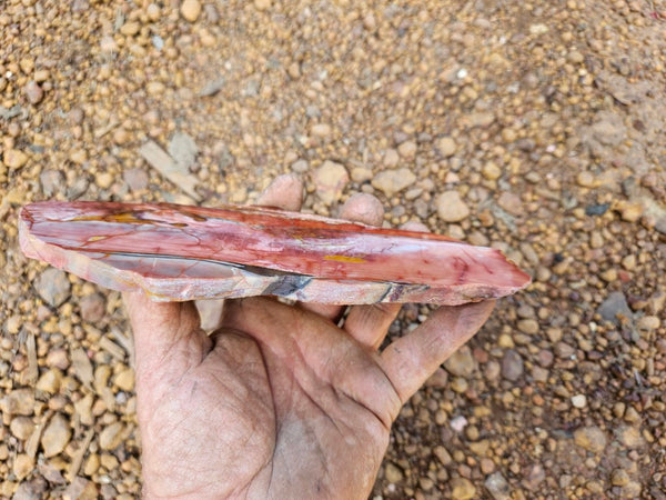 Sunset Jasper polished slab SU199