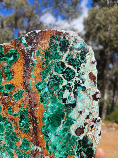 Polished De Grussa copper ore slab CO121