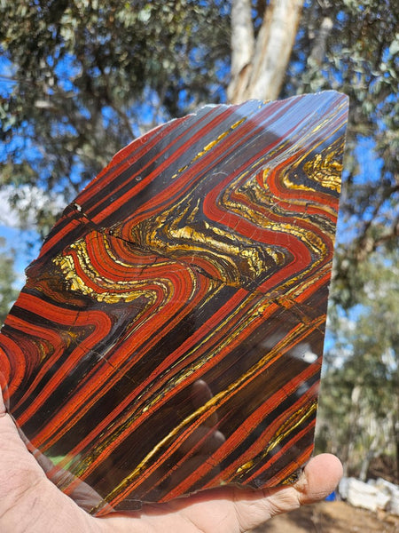 Polished Tiger Iron slab TI384