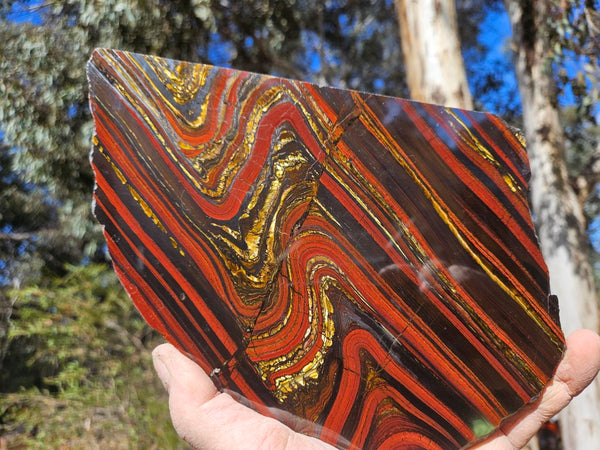 Polished Tiger Iron slab TI384