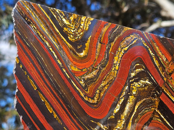 Polished Tiger Iron slab TI384