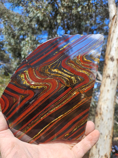 Polished Tiger Iron slab TI384