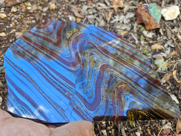 Polished Tiger Iron slab TI384