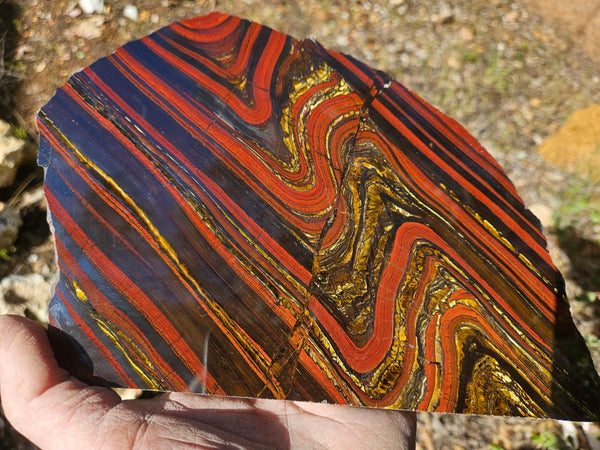 Polished Tiger Iron slab TI384