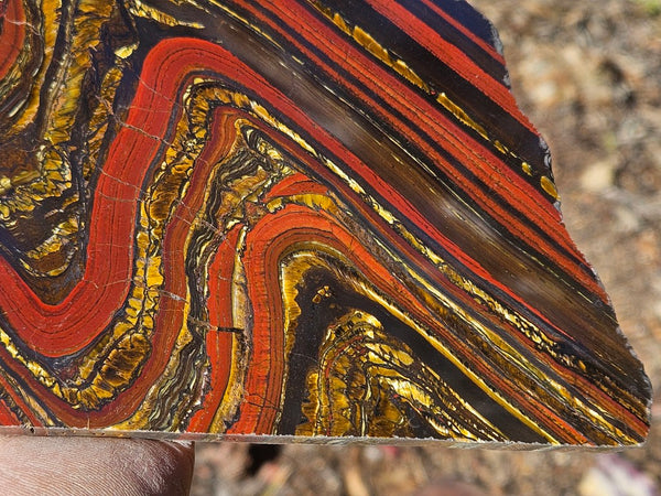 Polished Tiger Iron slab TI384