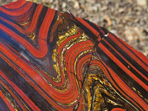 Polished Tiger Iron slab TI384