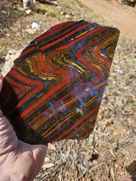 Polished Tiger Iron slab TI384