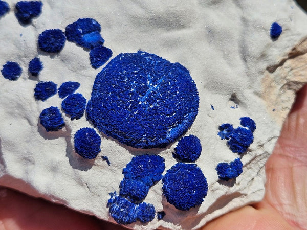Azurite Sun  AZ173