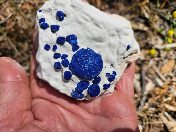 Azurite Sun  AZ173