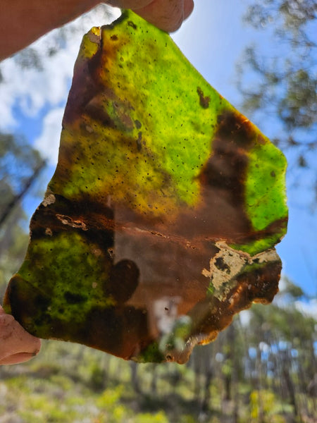 Polished Chrome Chalcedony slab CC169