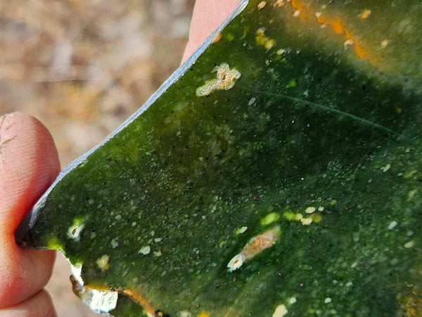 Polished Chrome Chalcedony slab CC169
