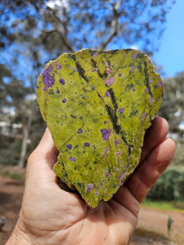 Polished Stichtite in Serpentine (Atlantisite) STI150