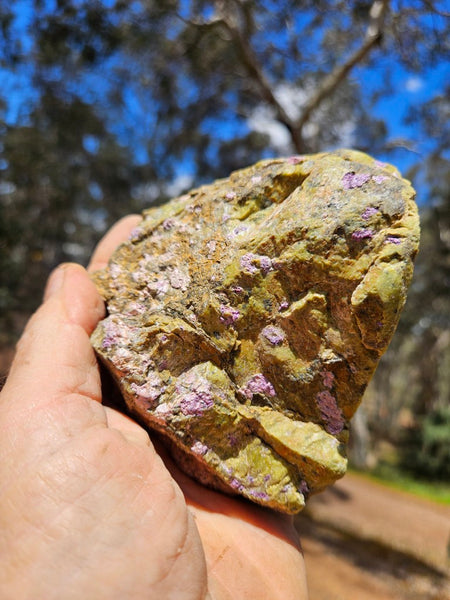 Polished Stichtite in Serpentine (Atlantisite) STI150
