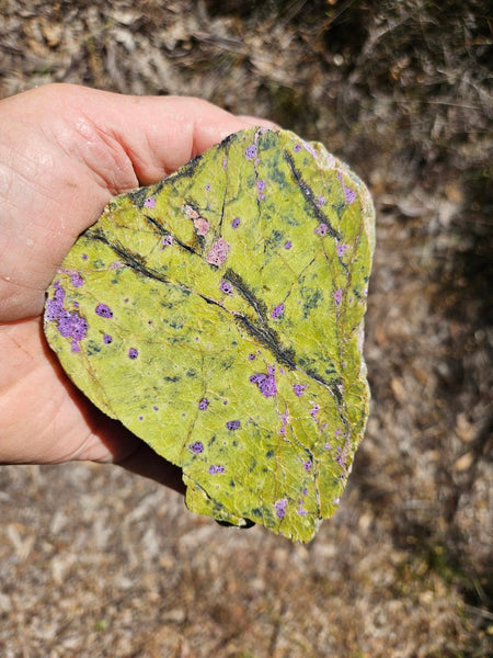 Polished Stichtite in Serpentine (Atlantisite) STI150