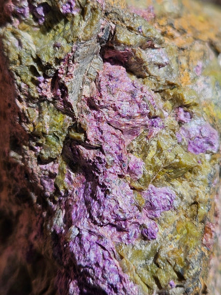 Polished Stichtite in Serpentine (Atlantisite) STI150