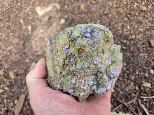 Polished Stichtite in Serpentine (Atlantisite) STI150