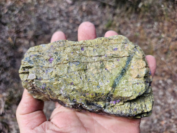 Polished Stichtite in Serpentine (Atlantisite) STI151