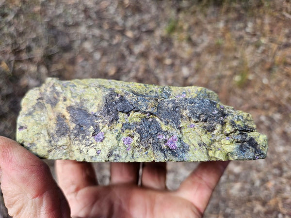 Polished Stichtite in Serpentine (Atlantisite) STI151