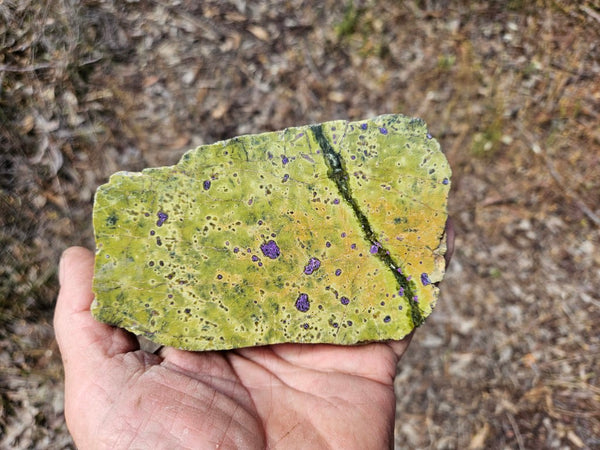 Polished Stichtite in Serpentine (Atlantisite) STI151