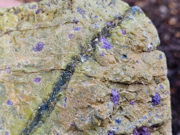 Polished Stichtite in Serpentine (Atlantisite) STI151