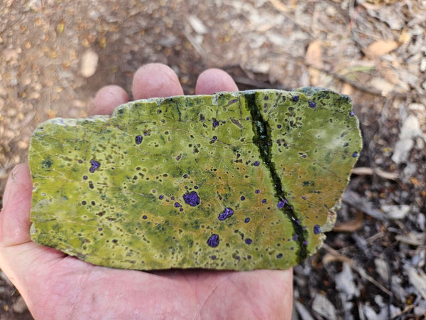 Polished Stichtite in Serpentine (Atlantisite) STI151