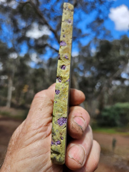 Polished Stichtite in Serpentine slab (Atlantisite) STI149