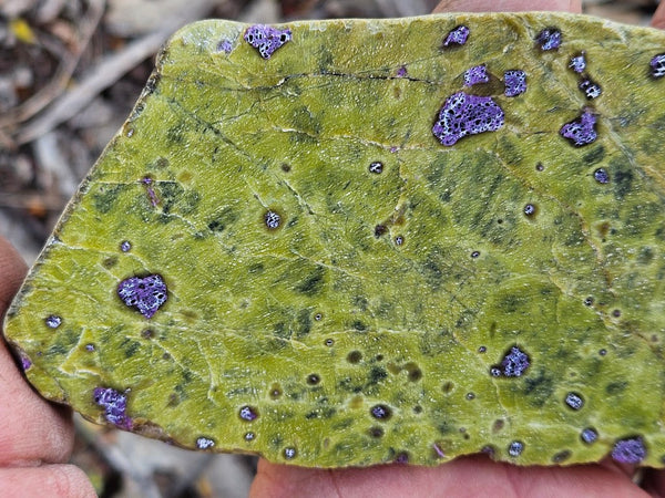 Polished Stichtite in Serpentine slab (Atlantisite) STI149