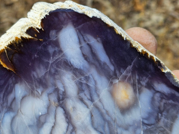 Purple Chalcedony polished slab. PU161