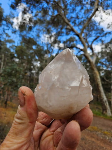West Australian Quartz crystal . XL112