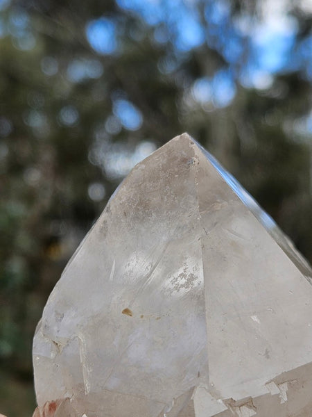 West Australian Quartz crystal . XL112
