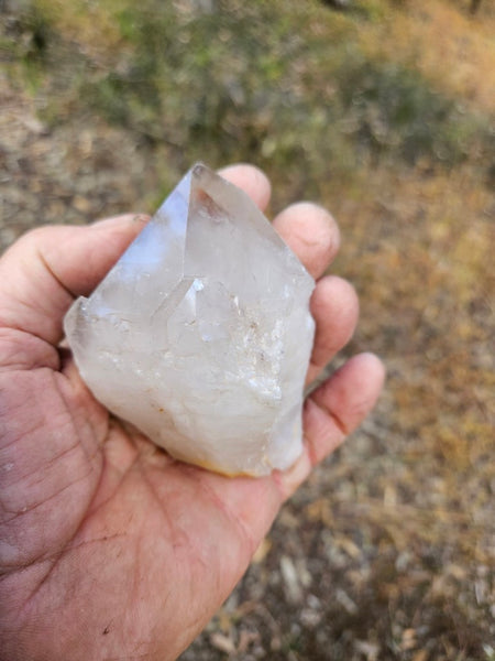 West Australian Quartz crystal . XL112