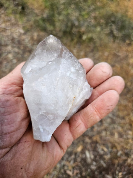 West Australian Quartz crystal . XL112