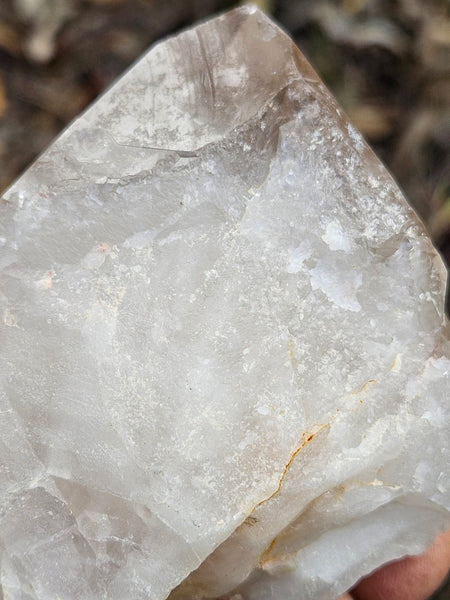 West Australian Quartz crystal . XL112