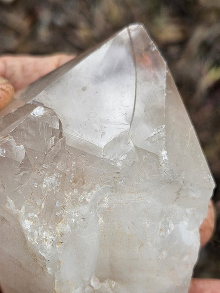 West Australian Quartz crystal . XL112