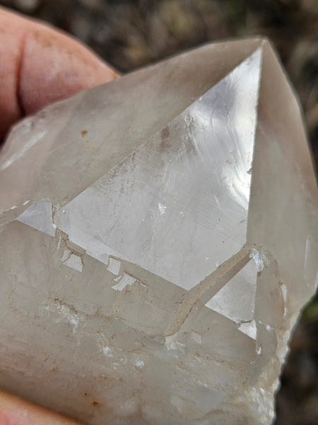 West Australian Quartz crystal . XL112