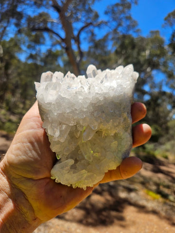 West Australian Quartz crystal cluster. XL113